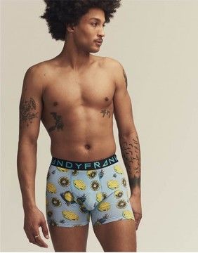 Men's Panties "Lemonade Boxer"