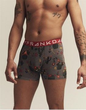 Vyriškos Kelnaitės "Cactus Boxer"