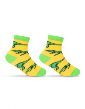 Children's socks "Dino Jim"
