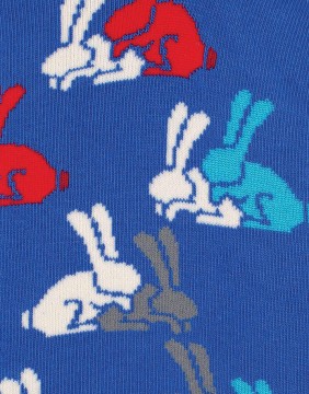 Vyriškos kojinės "Happy Bunnies"